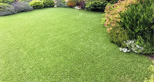 Synthetic Turf Solutions