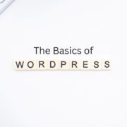 Basics of WordPress