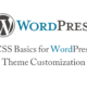 CSS Basics for WordPress Theme Customization