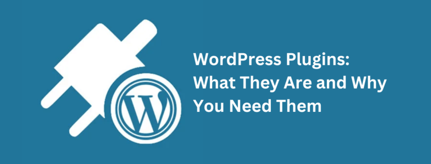 WordPress Plugins What They Are and Why You Need Them