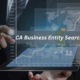 CA-Business-Entity-Search