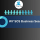 WY SOS Business Search