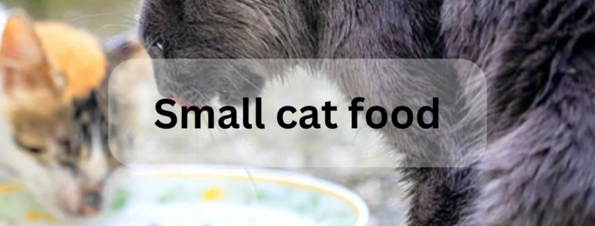 Small cat food